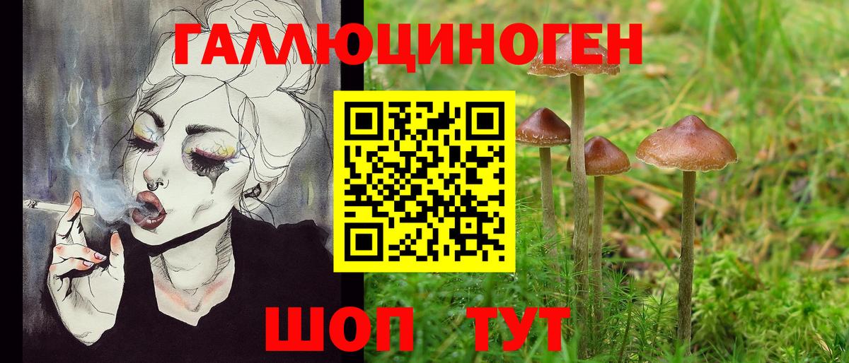 Галлюциногенные грибы Psilocybine cubensis Кириши
