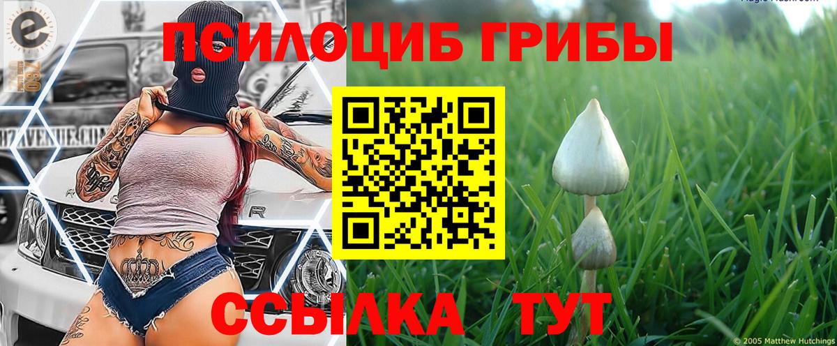 что такое наркотик  Галлюциногенные грибы Psilocybine cubensis  Вход с VPN  Кириши 